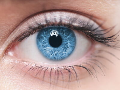 Nahaufnahme eines Auges mit blauer Iris mit Pupille, Lidrändern und Wimpern